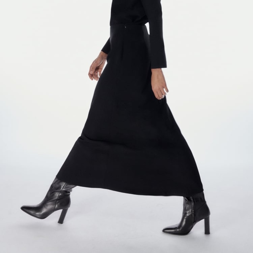 NWOT Zara Midi Skirt